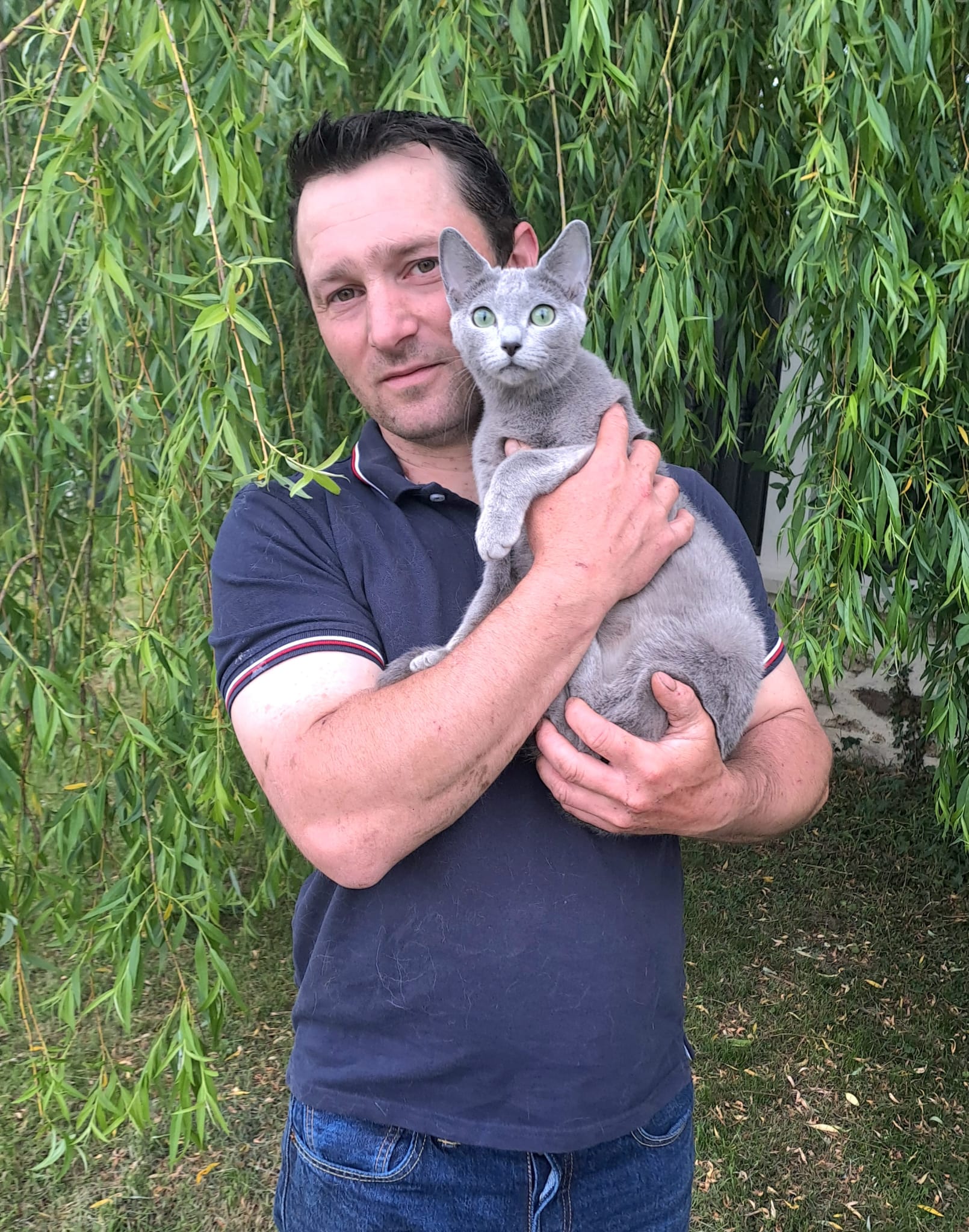 Domaine du Grand Loup -Adoption responsable de chatons à Beautheil-Saints