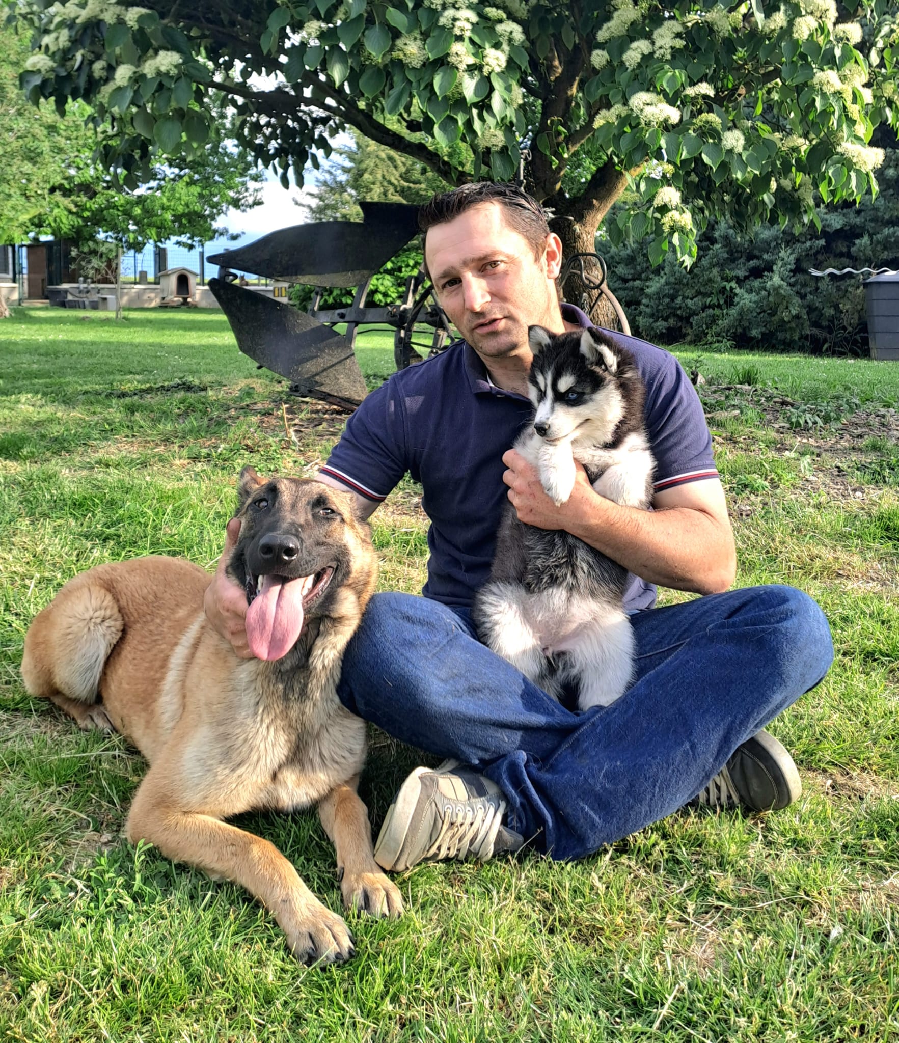 Domaine du Grand Loup -Formalités et garanties d’adoption à Beautheil-Saints